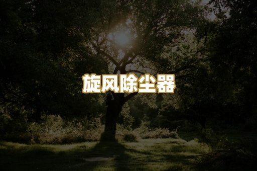 旋风除尘器
