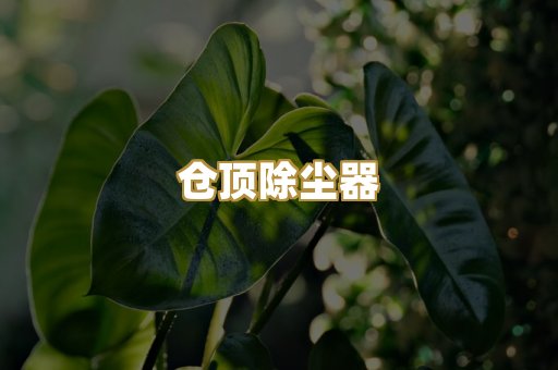 旋风除尘器